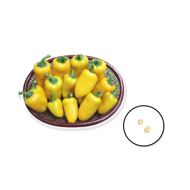 彩椒菇菇寶寶粥(全素) 150g* 4包/盒 歷史價格詳細信息