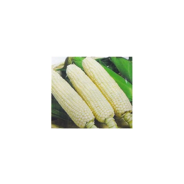 種子王國 彩方盆 4吋採方盆 彩色方型盆 盆栽 塑膠花盆 花器 草花、多肉植物適用 台灣製造 *顏色隨機出貨* 歷史價格詳細信息