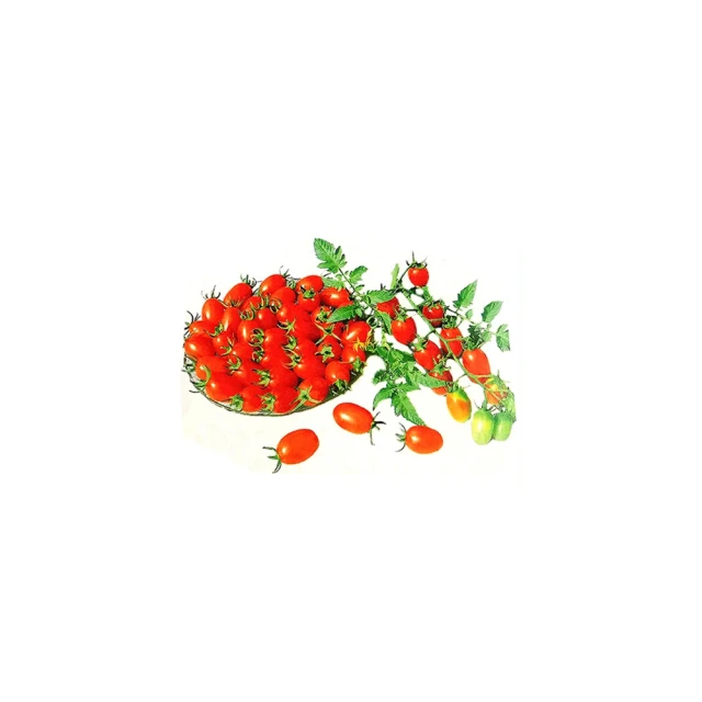 【蔬菜工坊】工業風8吋觀葉盆 (莫蘭迪灰藍色限量款) 3個/組 歷史價格詳細信息