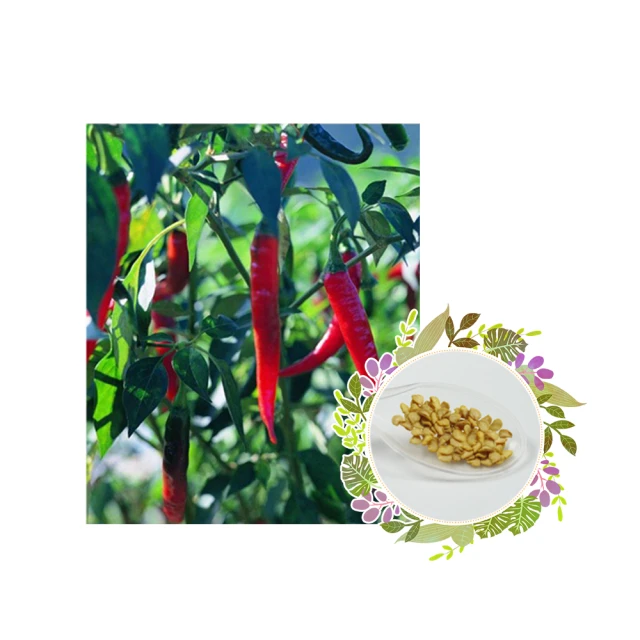 【蔬菜工坊】1吋迷你盆 30個/組(白、粉藍、粉紅、粉綠、粉紫、粉黃，共6色可選)多肉盆，彩盆 歷史價格詳細信息