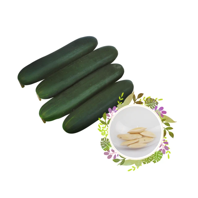 【蔬菜工坊】福壽牌固根土1號20公升(3包/組) 歷史價格詳細信息