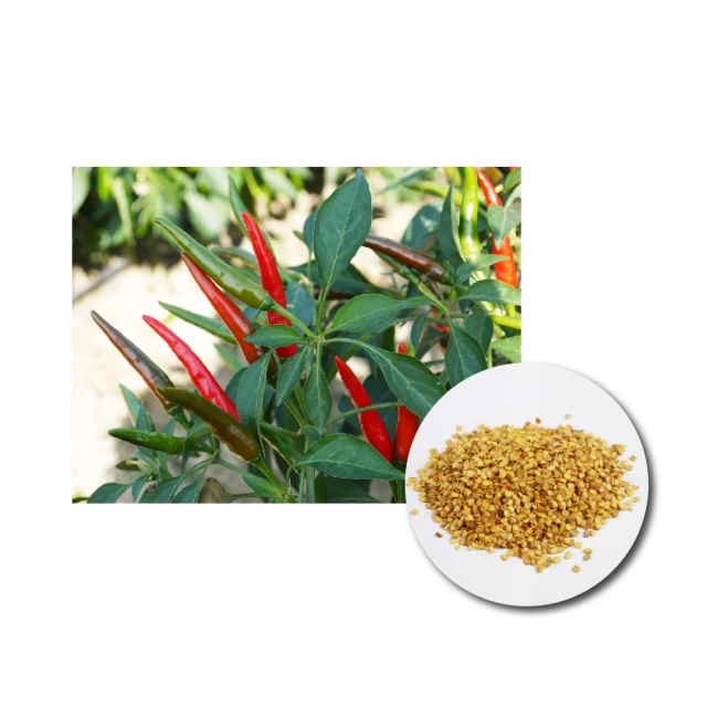 【蔬菜工坊】單層加支架DIY種植箱(型號D05) 歷史價格詳細信息