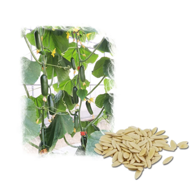 【蔬菜工坊】綠沸石1.5公斤(3-6mm) 歷史價格詳細信息