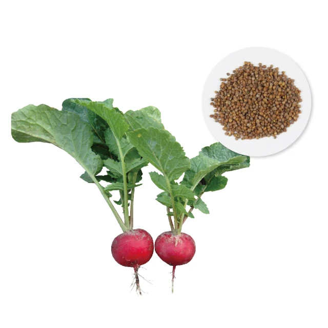 【蔬菜工坊】桃紅石 1分 1公斤分裝包(水族石.裝飾石) 歷史價格詳細信息