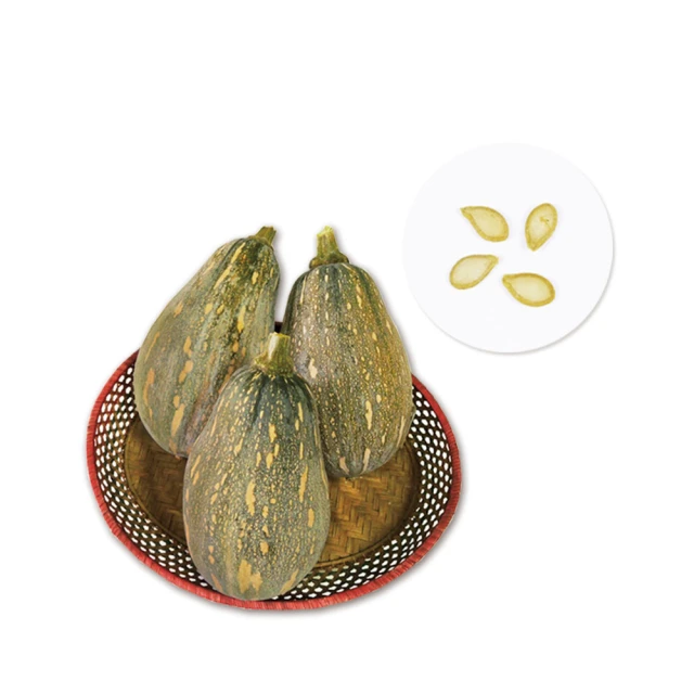 G42-1.一口香QQ南瓜種子 歷史價格詳細信息