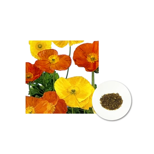 重瓣蝶豆花50克 花青素   (國家級農業檢驗中心 檢驗合格) 歷史價格詳細信息