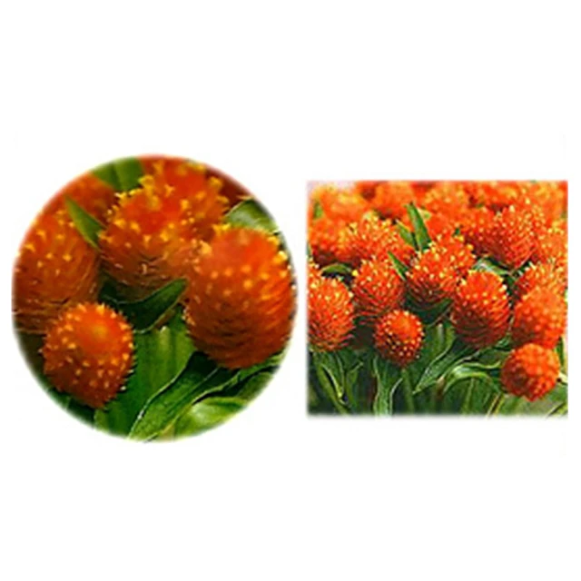 橙色雲高速吹風機 家用電吹風負離子不傷發 速幹風筒大功率 ohd-6 歷史價格詳細信息