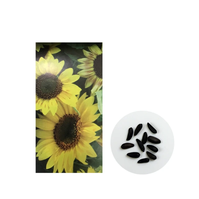 H52--明治30年一元龍銀--帶光美品 歷史價格詳細信息