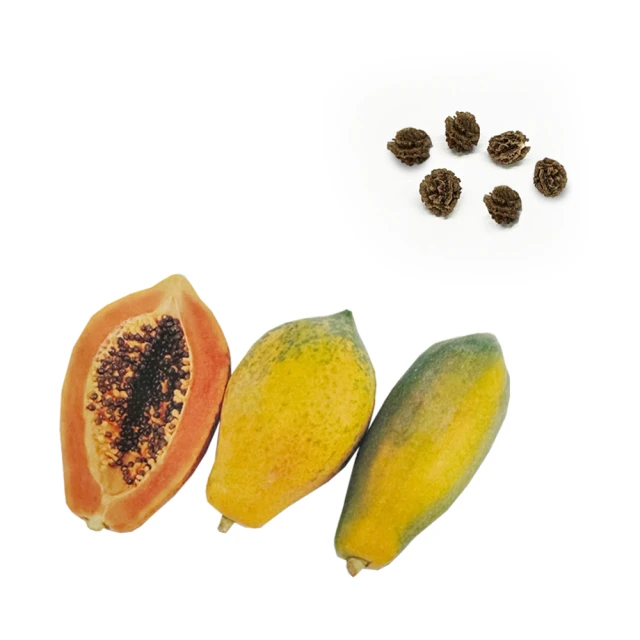 【蔬菜工坊】木柄小鏟//型號:T01B 歷史價格詳細信息