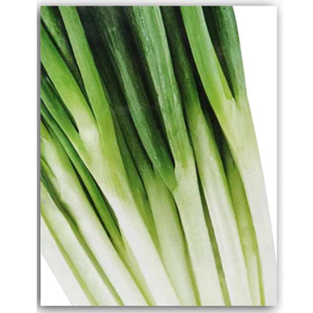 【蔬菜工坊】四分耐壓管50呎(4分水管) 歷史價格詳細信息