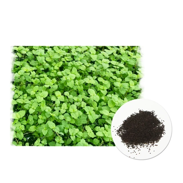 k39創意權杖造型猛火充氣噴槍直衝紅焰一鍵鎖火金屬打火機 歷史價格詳細信息