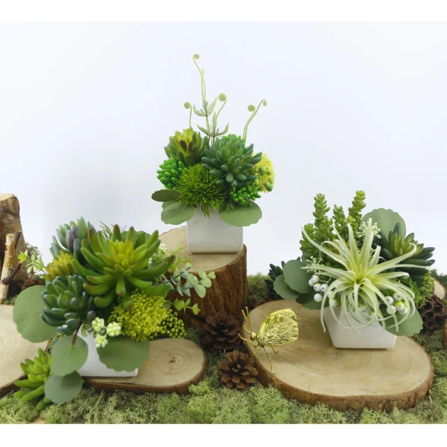 真· 多肉植物 公仔盒裝版 轉蛋 盒玩 (五款+一款隨機 整套販售) 【GAME休閒館】 歷史價格詳細信息