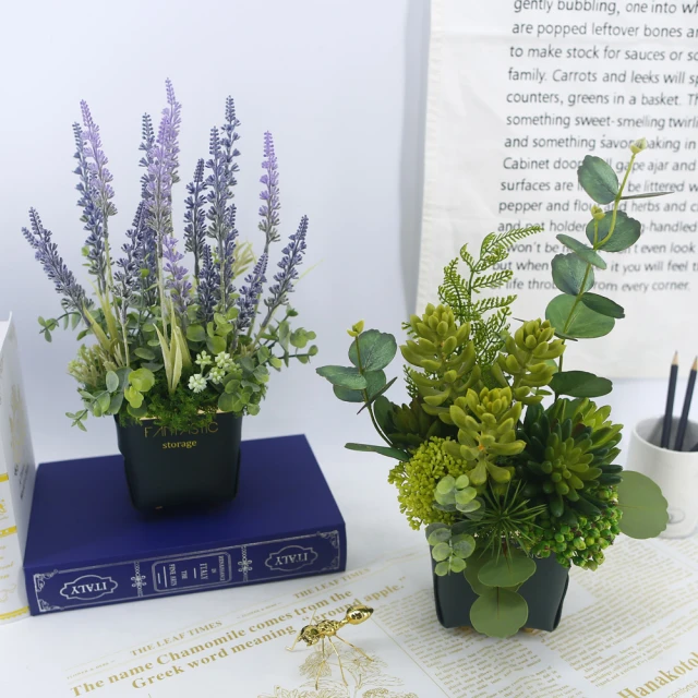 真· 多肉植物 公仔盒裝版 轉蛋 盒玩 (五款+一款隨機 整套販售) 【GAME休閒館】 歷史價格詳細信息