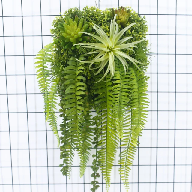 【DPECO】居家運動血氧儀 旗艦款 PC-60F 歷史價格詳細信息