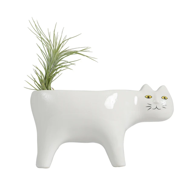 木瓜栽培管理技術 行政院農業委員會台南區農改場 育種栽培 病蟲害 土壤肥料 設施 專家撰寫 五南文化廣場 政府出版品 歷史價格詳細信息