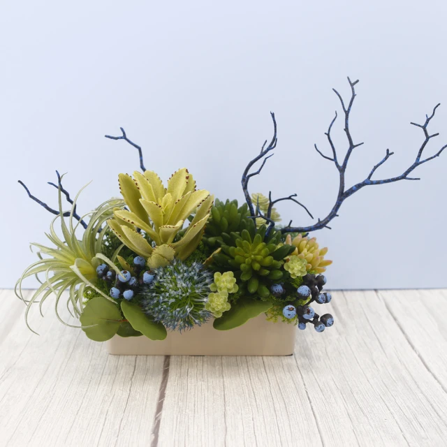 真· 多肉植物 公仔盒裝版 轉蛋 盒玩 (五款+一款隨機 整套販售) 【GAME休閒館】 歷史價格詳細信息