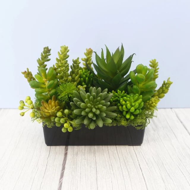 真· 多肉植物 公仔盒裝版 轉蛋 盒玩 (五款+一款隨機 整套販售) 【GAME休閒館】 歷史價格詳細信息