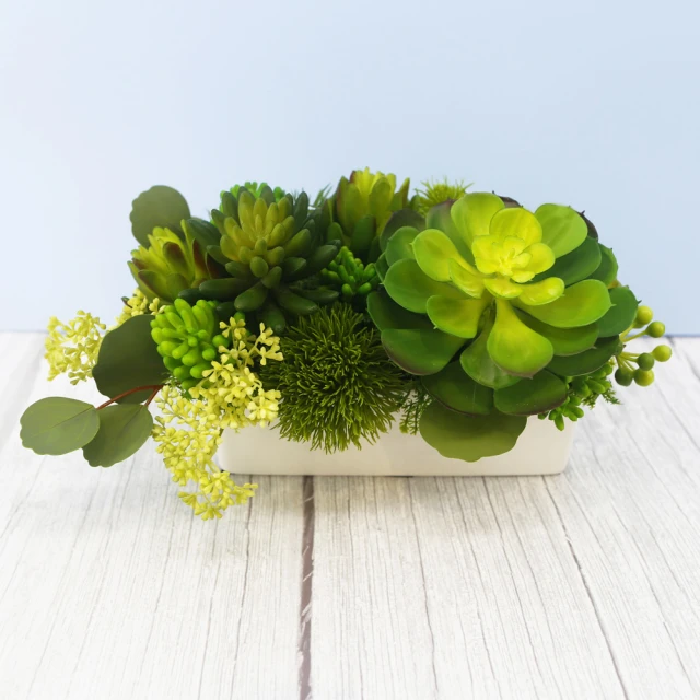 真· 多肉植物 公仔盒裝版 轉蛋 盒玩 (五款+一款隨機 整套販售) 【GAME休閒館】 歷史價格詳細信息