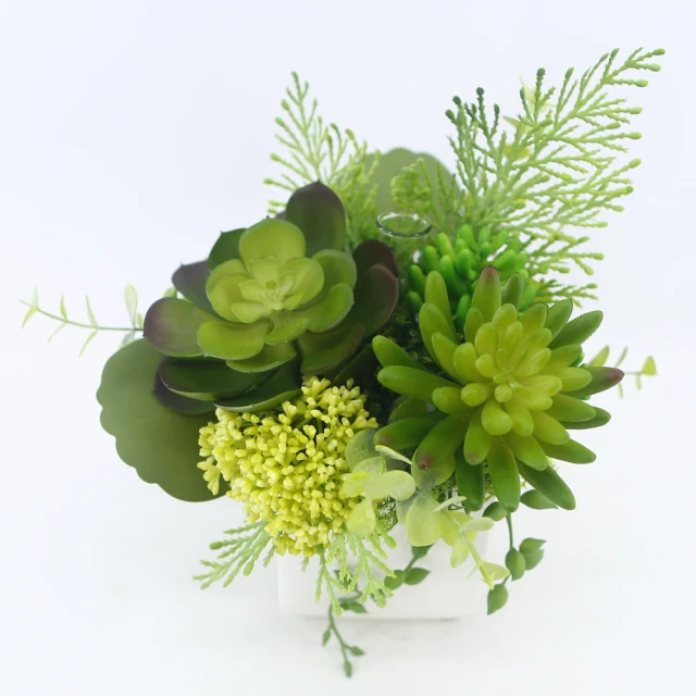 真· 多肉植物 公仔盒裝版 轉蛋 盒玩 (五款+一款隨機 整套販售) 【GAME休閒館】 歷史價格詳細信息