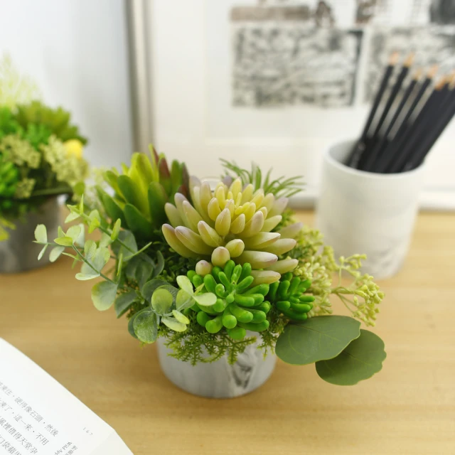 真· 多肉植物 公仔盒裝版 轉蛋 盒玩 (五款+一款隨機 整套販售) 【GAME休閒館】 歷史價格詳細信息