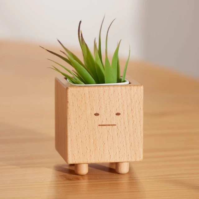 【Monarch尊爵家】療育小盆獸盆栽(原木文創 台灣設計 花盆 盆栽 植栽 多肉 植物 花器 室內小盆栽 交換禮物) 價格比較,價格查詢,歷史價格詳細信息