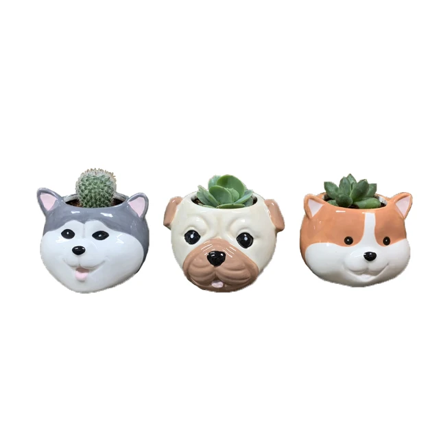 新款動物造型安全帶護套 歷史價格詳細信息