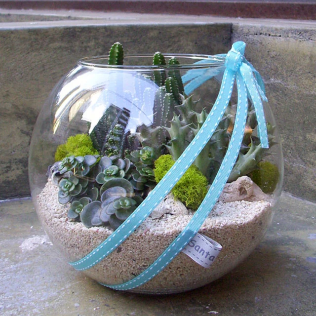 (組合) Sanka squ+可堆疊收納盒L-透明2入 歷史價格詳細信息