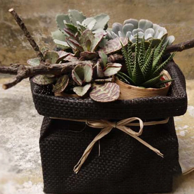 (組合) Sanka squ+可堆疊收納盒L-透明2入 歷史價格詳細信息