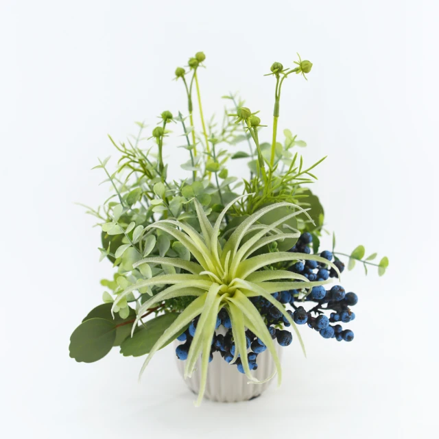 真· 多肉植物 公仔盒裝版 轉蛋 盒玩 (五款+一款隨機 整套販售) 【GAME休閒館】 歷史價格詳細信息