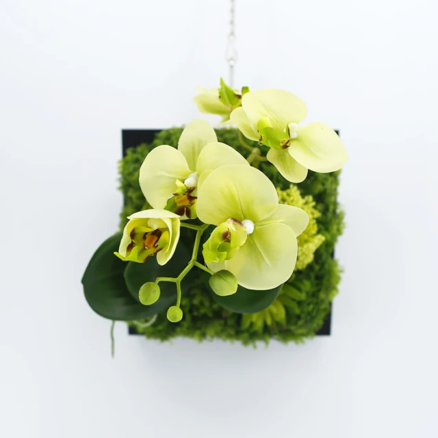 【DPECO】居家運動血氧儀 旗艦款 PC-60F 歷史價格詳細信息