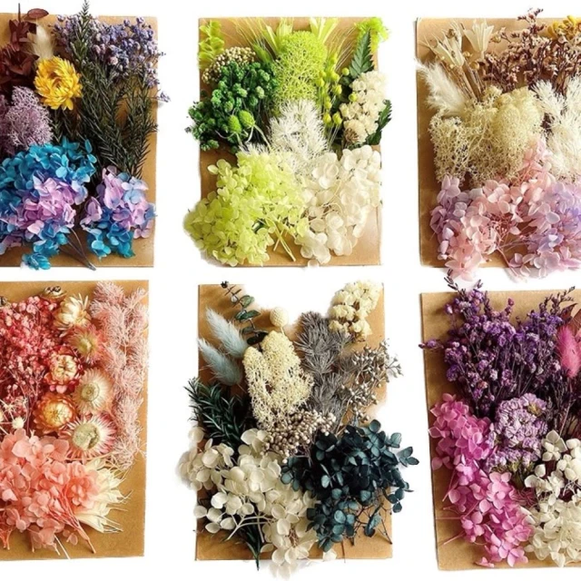 【BJ SHOP】植物果實 花材 花藝材料包 浮游花 浮油花 乾花(天然乾燥花 永生花) 歷史價格詳細信息