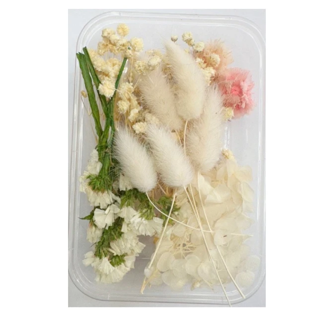 【A-ONE 匯旺】永生花素材永生滿天星 大滿天星 婚禮佈置 手作素材 攝影道具 新娘捧花 手作乾燥花(A08) 價格比較,價格查詢,歷史價格詳細信息