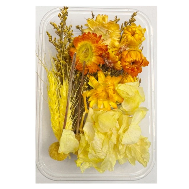 【A-ONE 匯旺】永生花素材永生滿天星 大滿天星 婚禮佈置 手作素材 攝影道具 新娘捧花 手作乾燥花(A08) 歷史價格詳細信息