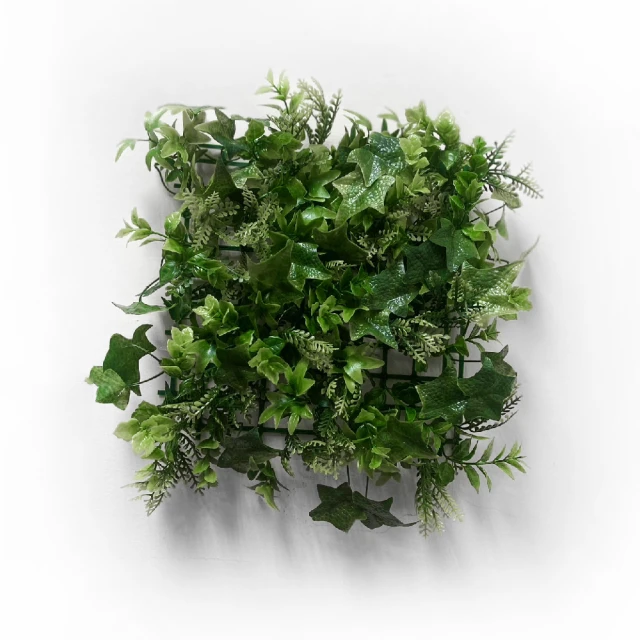 意美絲內增高小個子馬丁長靴女2023新款秋冬厚底高筒騎行靴長筒靴 歷史價格詳細信息