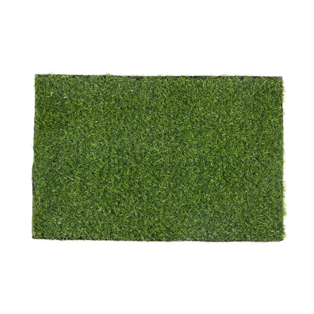 38*58cm2入草皮 歷史價格詳細信息