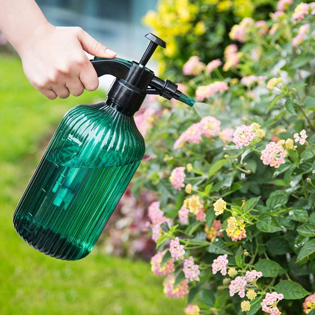 JIAGO 壓縮木漿棉海綿擦(2入/組) 歷史價格詳細信息