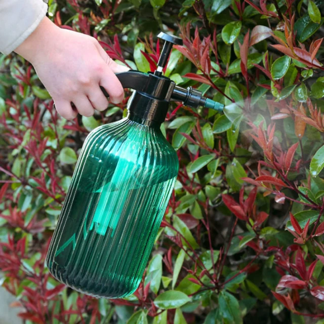 JIAGO 壓縮木漿棉海綿擦(2入/組) 歷史價格詳細信息