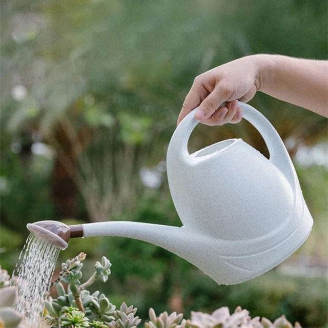 【5色可選】口香糖MP3音樂播放器 迷妳可愛 跑步運動隨身聽 英語聽力 學生 隨身碟新款另有2G 4G 8G五色可選 歷史價格詳細信息