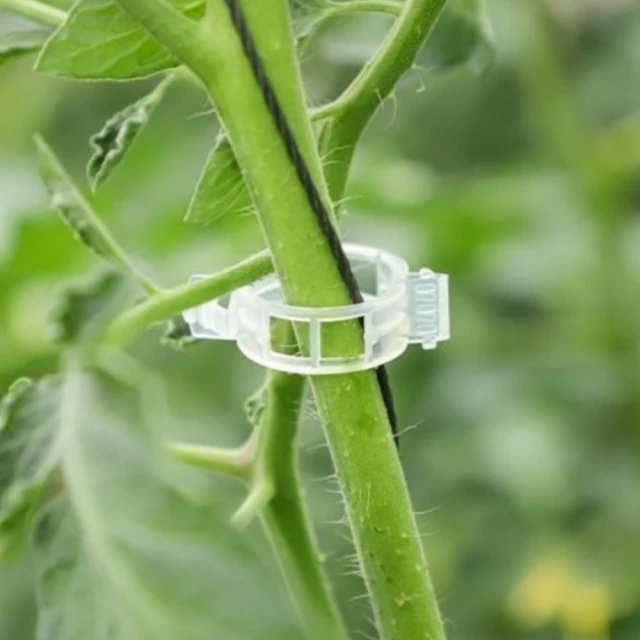 【晴安居】窄型好收納大容量冷水壺 大開口耐冷熱果汁飲料瓶-2入組 歷史價格詳細信息