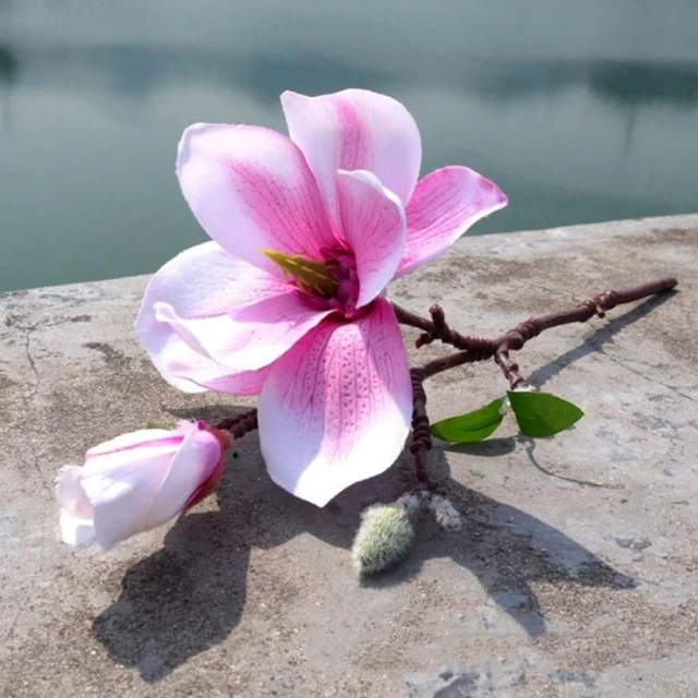 【玉蘭枝笑】馬面裙髮飾黑檀木髮簪女高級感古風盤髮簪子旗袍配飾 歷史價格詳細信息