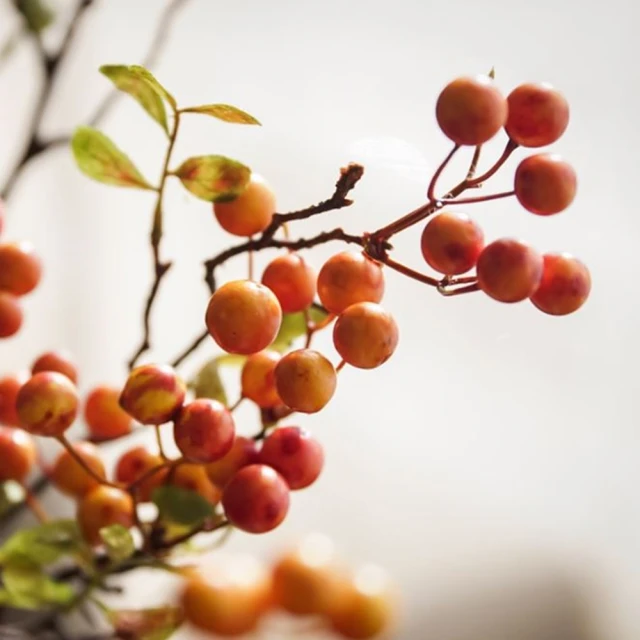 發財花花*Rich flower留洋千金風羊毛呢漁夫帽復古赫本小香風禮帽 歷史價格詳細信息