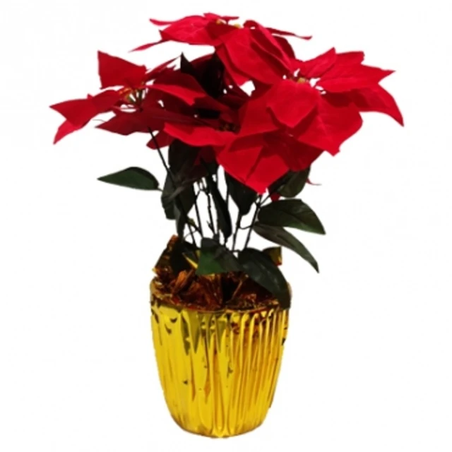 2997 樂積木【預購】第三方 海賊王系列 X0358 X0359 動漫 積木 人偶 魯夫 希留 香吉士 娜美 泰佐洛 歷史價格詳細信息