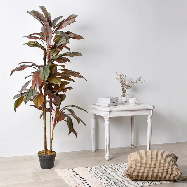 【Meric Garden】北歐風格居家裝飾高仿真大型景觀植栽擺設盆栽（扇型仙人掌） 歷史價格詳細信息