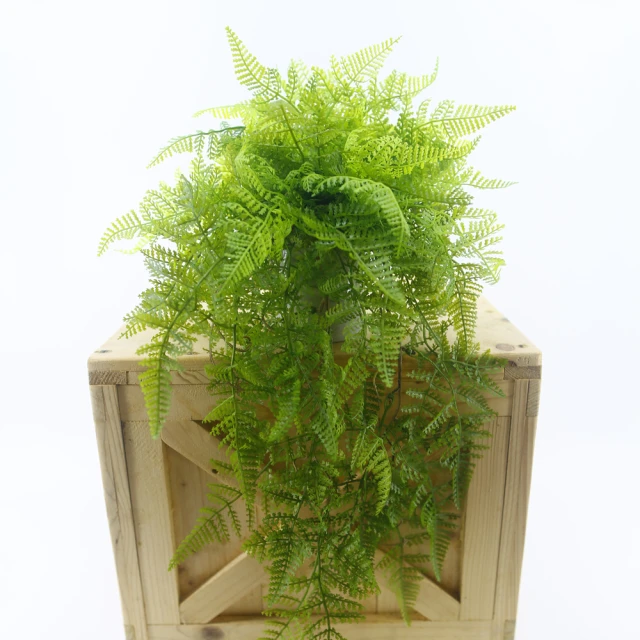 【DPECO】居家運動血氧儀 旗艦款 PC-60F 歷史價格詳細信息