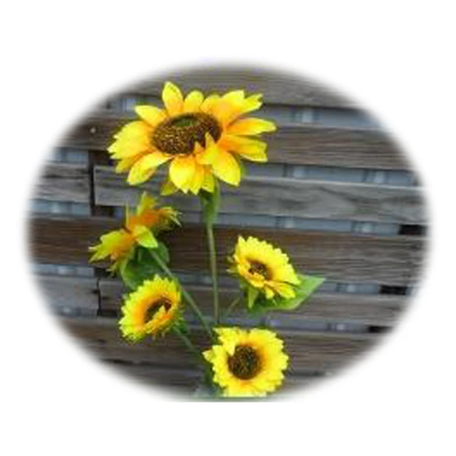 【園藝世界】保麗龍空心磚大38*19*20cm-3入 歷史價格詳細信息