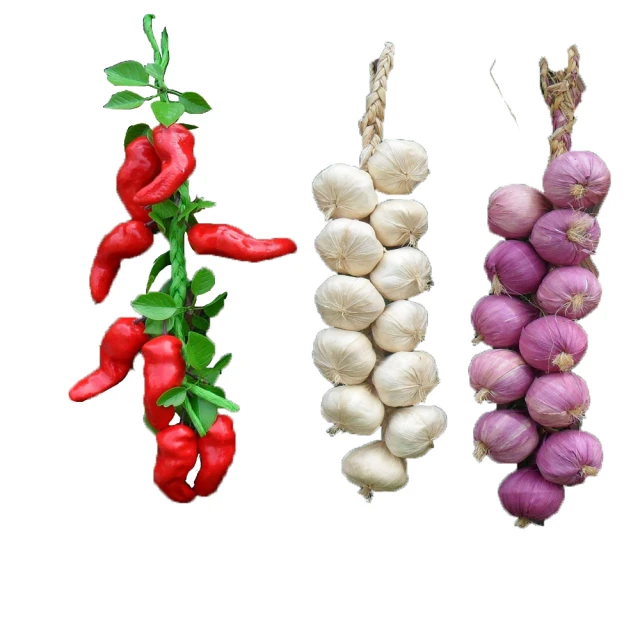 園藝人生：和植物說話的男人DVD，凡爾賽花園的首席園藝當家，台灣正版全新 歷史價格詳細信息