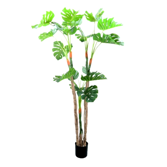 園藝人生：和植物說話的男人DVD，凡爾賽花園的首席園藝當家，台灣正版全新 歷史價格詳細信息