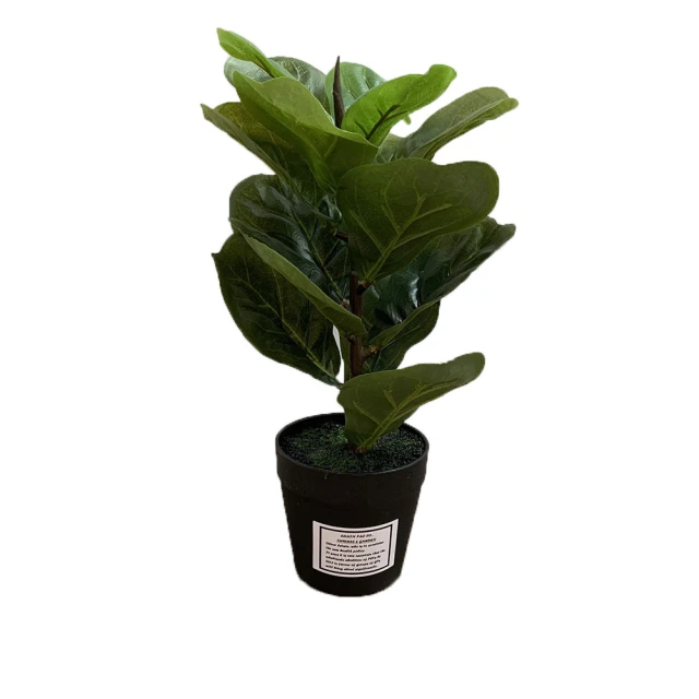 琴葉高麗雅絲酸性蛋白修複洗髮精+護髮霜=套裝組 歷史價格詳細信息