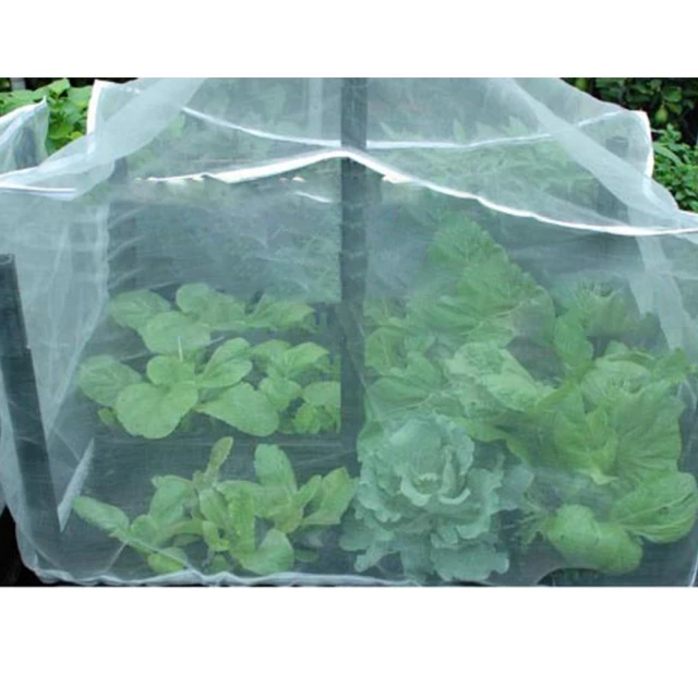 【蔬菜工坊】K05.艾草種子 歷史價格詳細信息