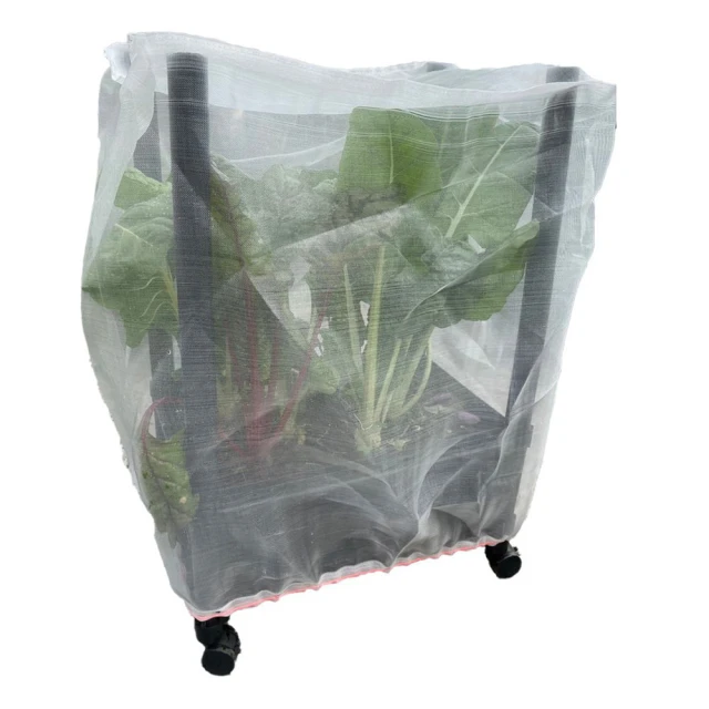 田園樂 育材六箱防蟲網 附接桿及拉鍊(90*90種植箱用) 歷史價格詳細信息